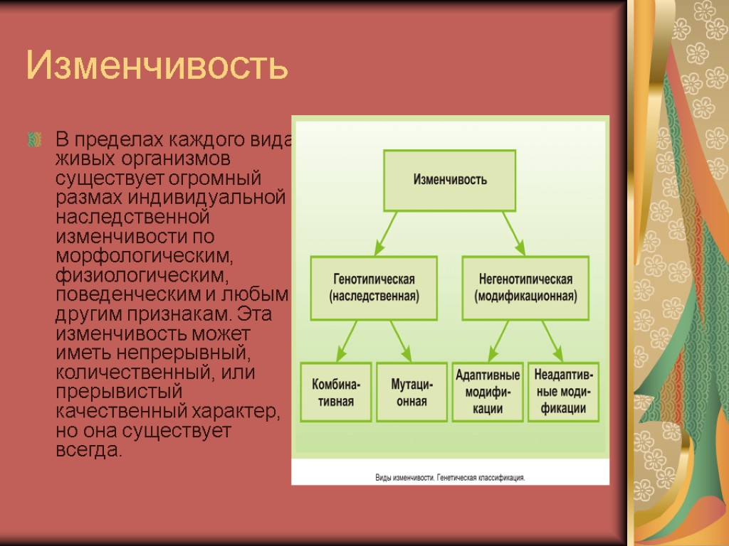 Изменчивость В пределах каждого вида живых организмов существует огромный размах индивидуальной наследственной изменчивости по